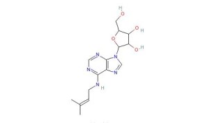 异戊烯与异戊二烯区别