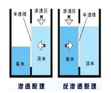 电渗析和渗透的区别