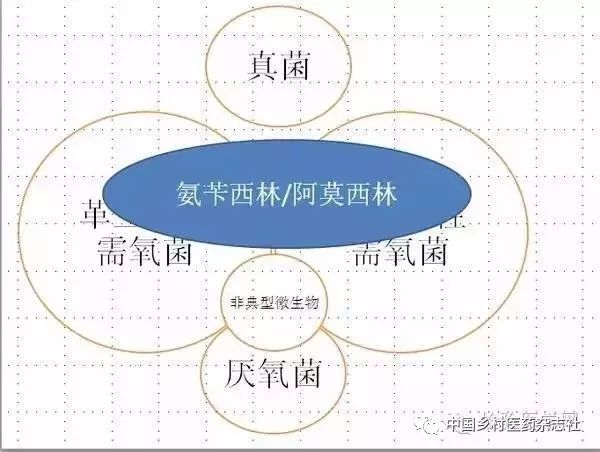 有色轻金属包括哪些