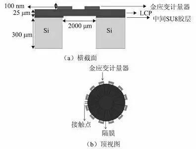 流量测量器