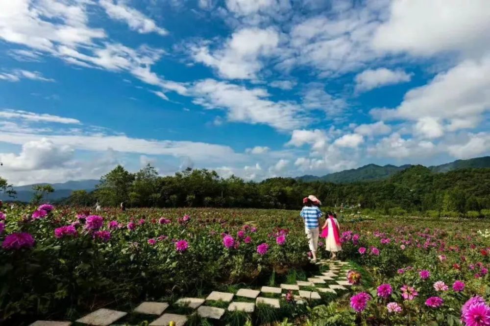 军事旅游发展现状